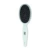 AMR Professional Tangle Tamer Paddle Brush Blue
