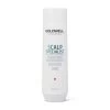 Goldwell Dualsenses Scalp Specialist Deep Cleansing Shampoo 250ml