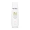 Goldwell Dualsenses Rich Repair Restoring Shampoo 300ml